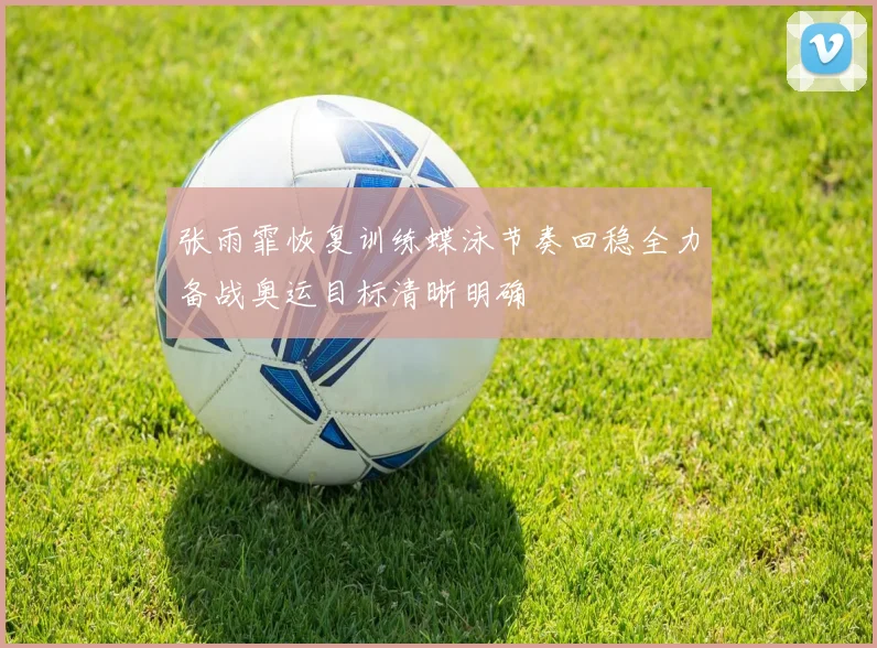 张雨霏恢复训练蝶泳节奏回稳全力备战奥运目标清晰明确