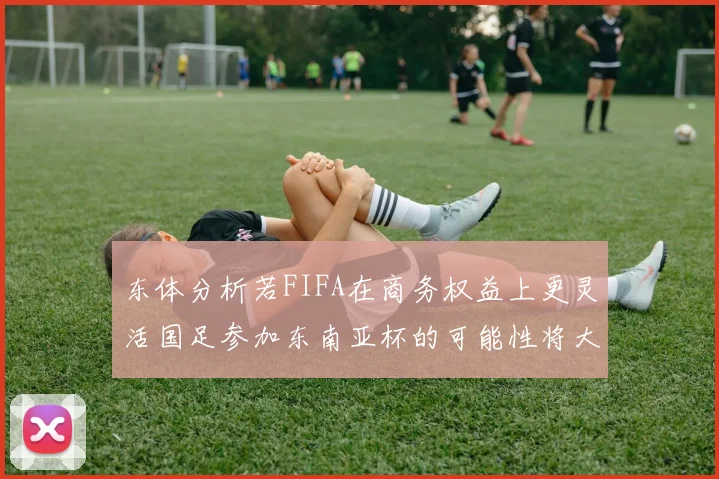 东体分析若FIFA在商务权益上更灵活国足参加东南亚杯的可能性将大增